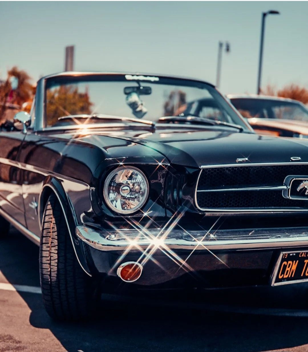 1965 Mustang Convertible